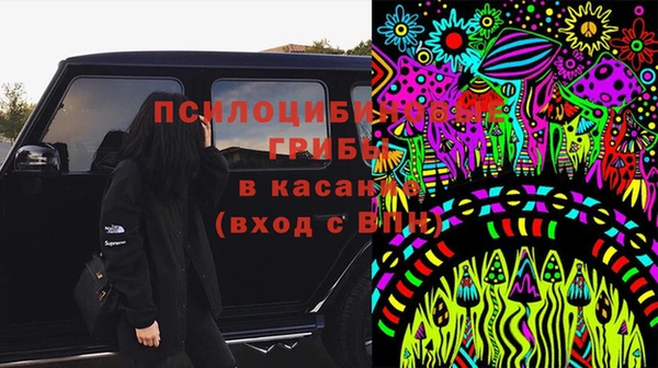эйфоретик Козельск