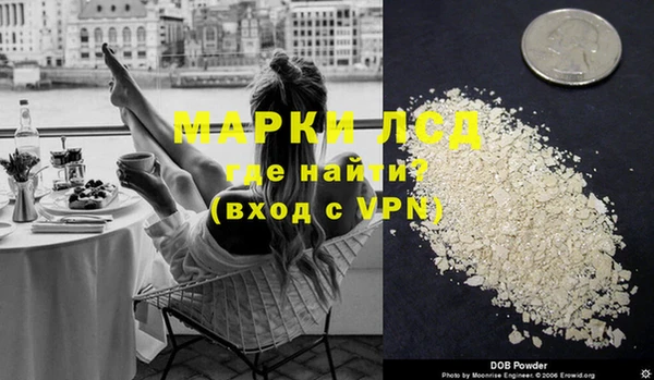 шишки Горнозаводск