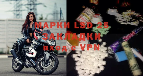 PSILOCYBIN Вяземский