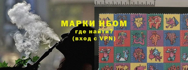 PSILOCYBIN Вяземский