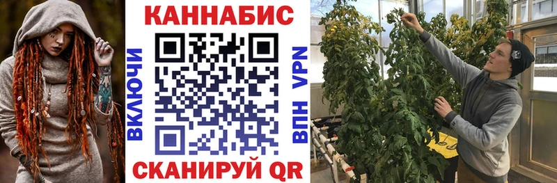 купить наркотики цена  Могоча  Бошки марихуана индика 